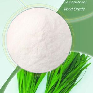 Food Grade chives concentrate powder flavor for food