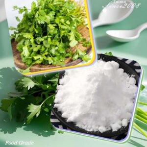Food Grade coriander concentrate powder flavor