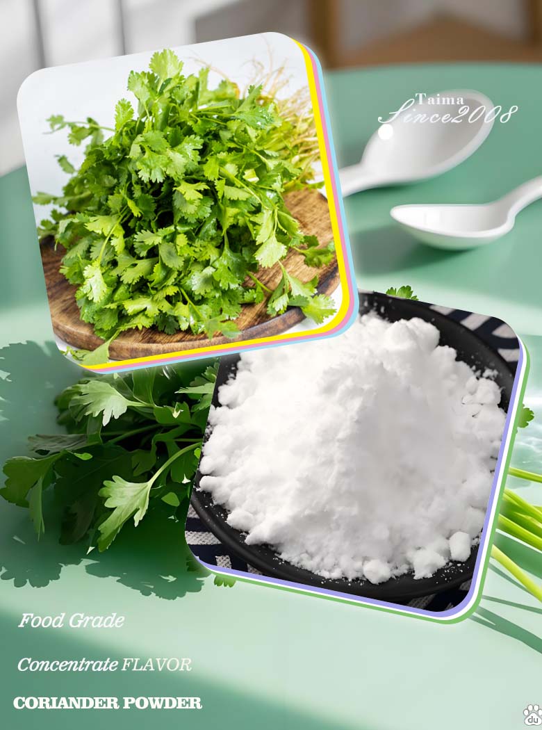 Food Grade coriander concentrate powder flavor