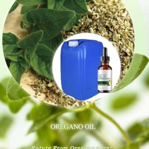 Oregano oil extracted from the oregano plant Oregano essential Oil