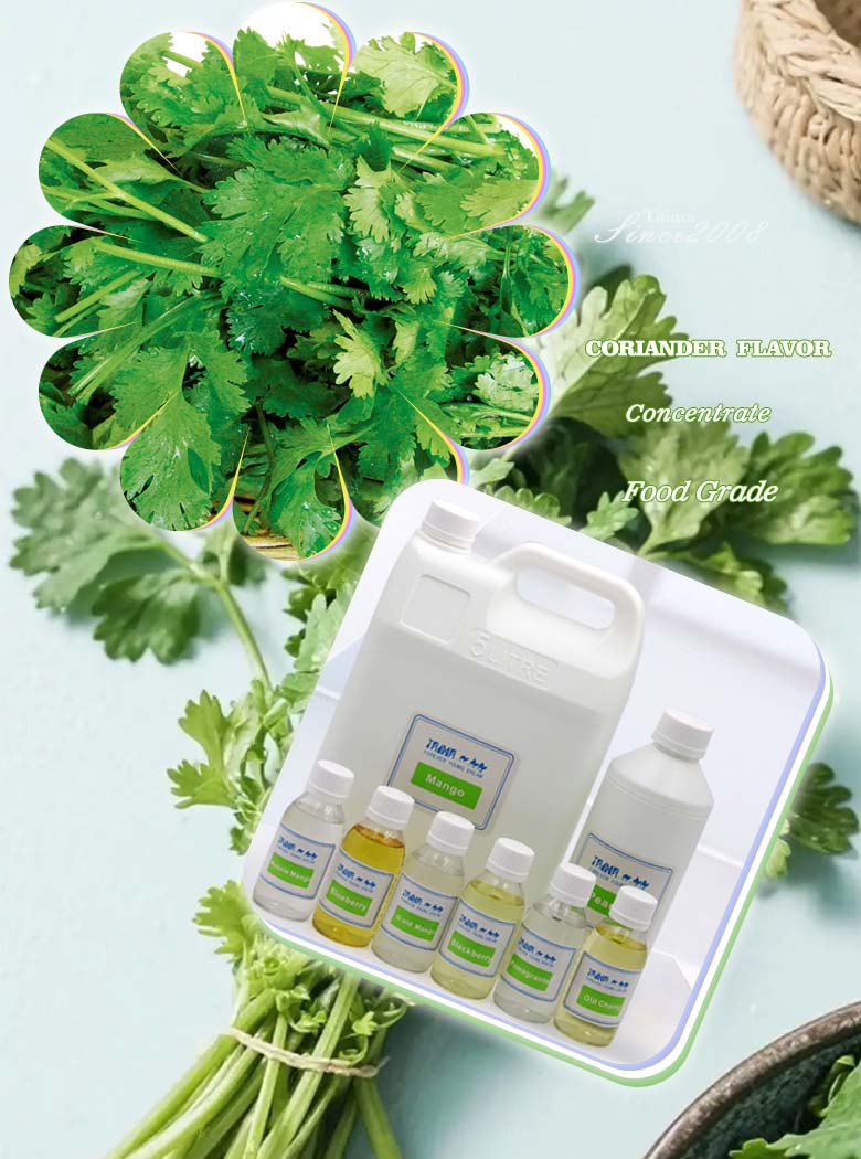 Food Grade coriander concentrate liquid flavor essence for sauces by Taima