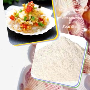 Taima Food Grade  scallop concentrate powder flavor fragrance for seasoning and sauces