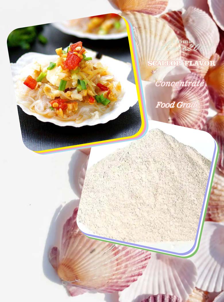 Taima Food Grade scallop concentrate powder flavor fragrance for seasoning and sauces