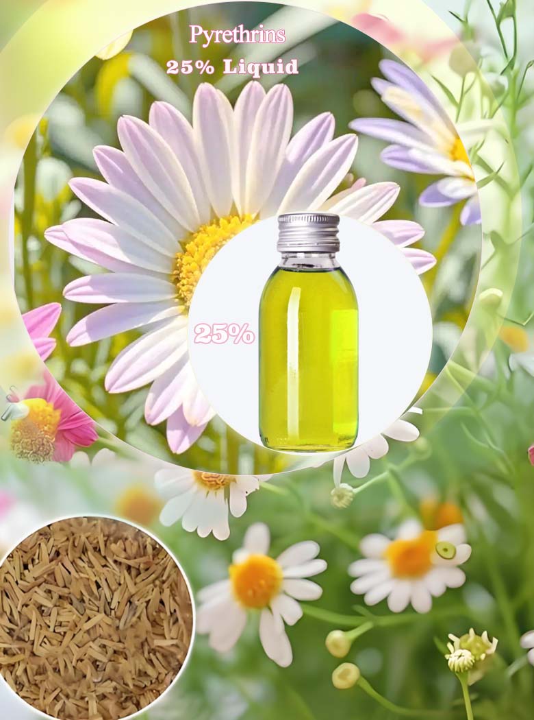 Pyrethrum Extract 25% liquid and milky liquid Pyrethrins