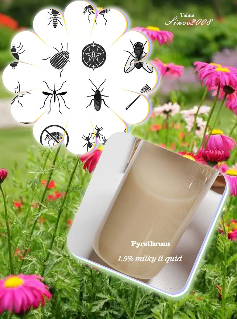 Pyrethrum Extract powder, liquid and milky liquid Pyrethrins