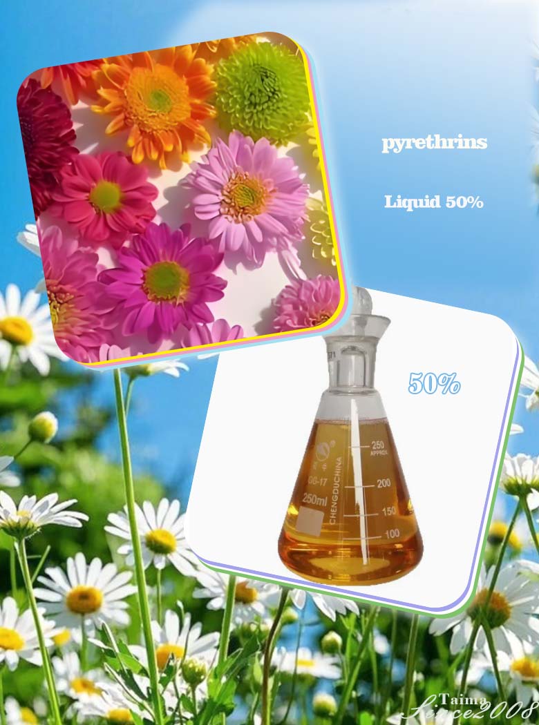 Pyrethrum Extract pyrethrins 25% liquid