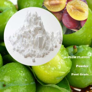 Food Grade Plum powder concentrate fruit flavour