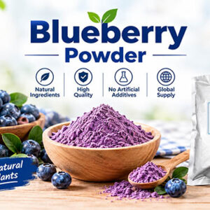 Blueberry Powder